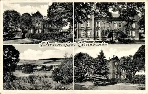 Ak Nieheim in Westfalen, Pension Gut Externbrock