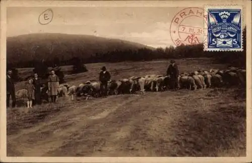 Ak Radhošť Radhoscht Region Pardubice, Landschaft mit Schafherde, mehreren Personen und Hügeln