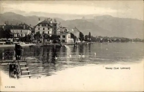 CPA Vevey Canton de Vaud, Lac Léman