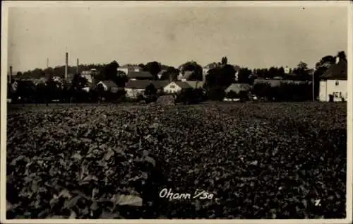 Ak Ohorn in Sachsen, Ortsansicht  Industriegebäude, Blumenfeld, ländliche Szenerie