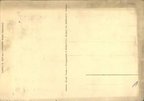 Ak Meißenheim am Rhein Baden, Fliegeraufnahme