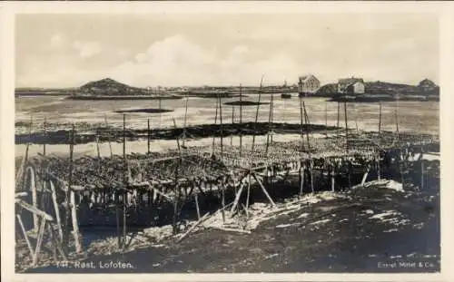 Ak Røst Lofoten Norwegen, Panorama