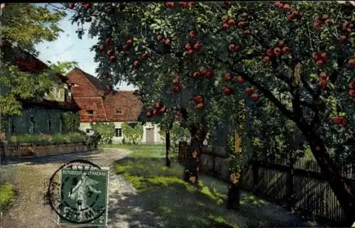 Photochromie Nenke und Ostermaier, Apfelbaum, Dorfpartie