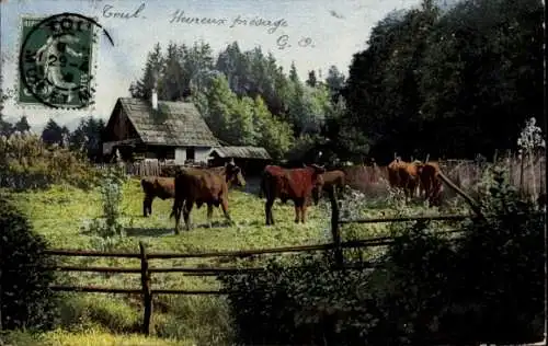 Ak Bayel Aube, Auf der Vorderseite ist ein Haus, ein paar Bäume und Kühe auf einer Wiese zu se...