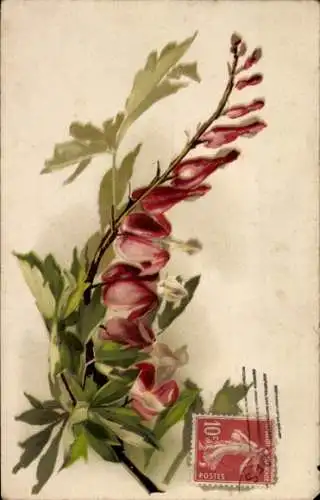 Litho Rote Blumen, Blüten
