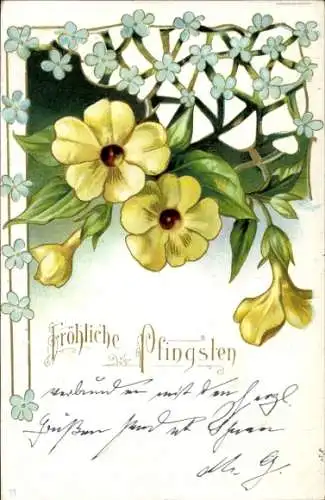 Ak Glückwunsch Pfingsten, Blumen, Vergissmeinnicht