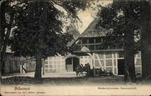 Ak Scheeßel in Niedersachsen, Niedersächsisches Bauerngehöft