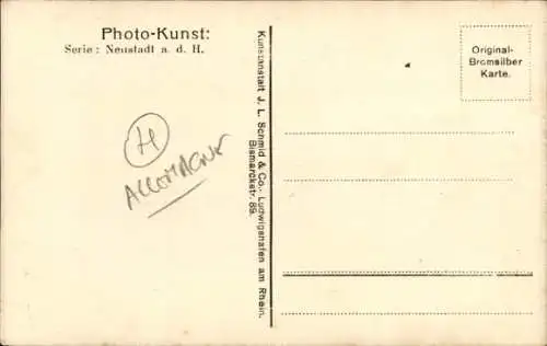 Ak Neustadt an der Haardt Neustadt an der Weinstraße , Blick auf Neustadt, Kirche, Berge, hist...