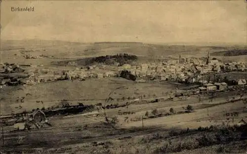 Ak Birkenfeld an der Nahe, Stadtansicht, ländliche Landschaft, Häuser, Kirchturm