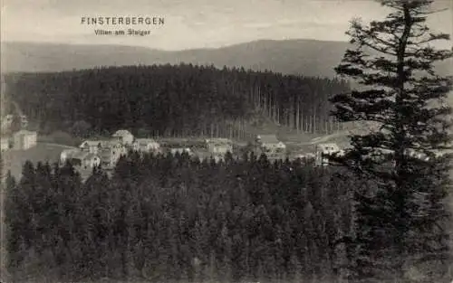 Ak Finsterbergen Friedrichroda im Thüringer Wald, FINSTERBERGEN, Villen am Steiger, Waldlandsc...