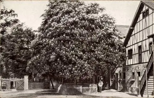 Ak Elbisbach Frohburg in Sachsen, Haus und landwirtschaftliche Frauenschule Arvedshof, Gutshof