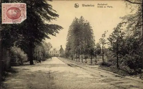 Ak Westerloo Westerlo Flandern Antwerpen, Straße mit Bäumen, Gebäude im Hintergrund, historisc...