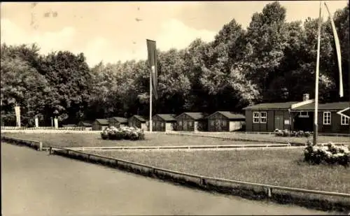 Ak Zwickau,  Pionierlager "Karl Liebknecht "