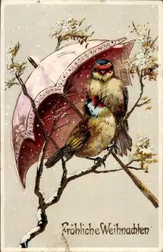 Ak Frohe Weihnachten, Vögel