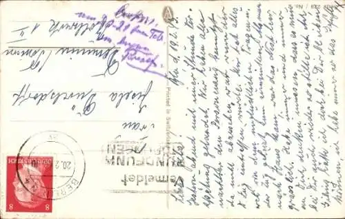 Künstler Ak Zwei Papageien auf einem Ast sitzend, Ara