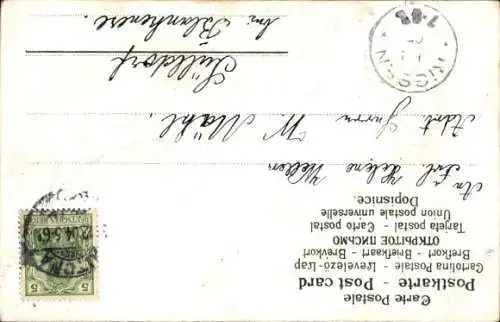 Litho Glückwunsch Neujahr, Frau sitzt auf einem Schwein, Kleeblätter