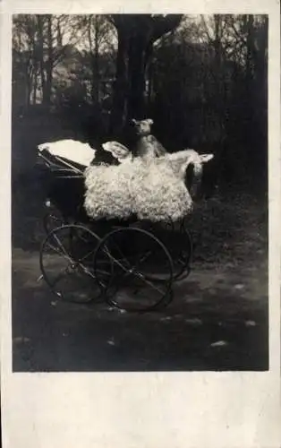Foto Ak Kinderwagen, Kind mit Teddy