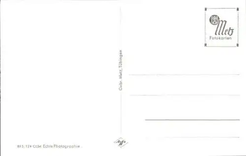 Ak Weinlese an der Weinstraße, Frau im Weinfeld