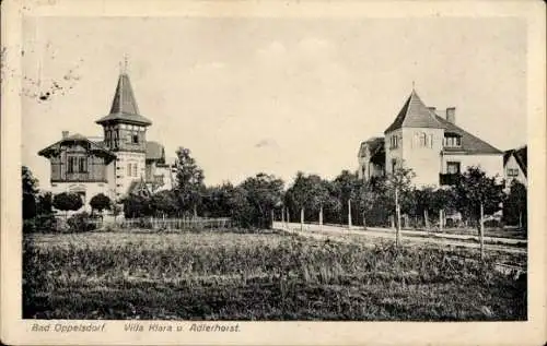 Ak Opolno Zdrój Bad Oppelsdorf Bogatynia Reichenau Schlesien, Villa Klara und Adlerhorst