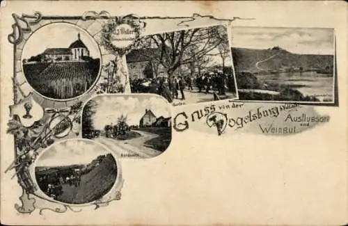 Ak Vogelsburg Volkach in Unterfranken, Weingut, Nordseite, Garten