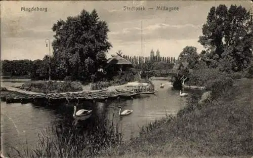 Ak Magdeburg an der Elbe, Stadtpark, Mittagsee