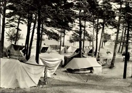 Ak Ostseebad Göhren auf Rügen, Zeltplatz, Bäume, Zelte, Schwarz-Weiß Foto
