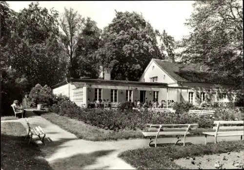 Ak Putbus auf der Insel Rügen, Konsum-Gaststätte Rosencafé, Garten mit Stühlen und Tischen, Bäume
