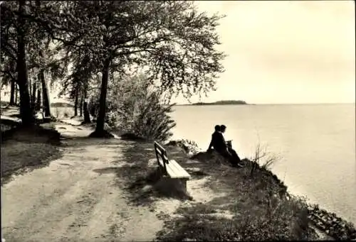 Ak Putbus auf der Insel Rügen, Pärchen am Wasser, ruhige Landschaft, Bäume, Weg