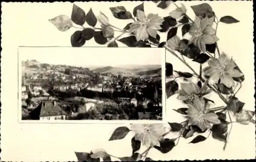 Ak Sebnitz Sächsische Schweiz, Blick auf Sebnitz, Landschaft, Blumenmotiv, Schwarz-Weiß-Foto