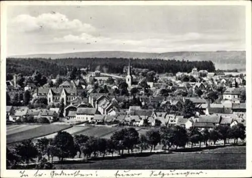 Ak Blankenhain in Thüringen, Gesamtansicht