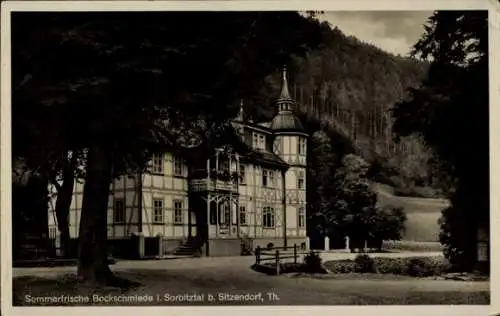 Ak Sitzendorf in Thüringen, Bockschmiede, Sommerfrische, Landschaft, historisches Gebäude, Wald