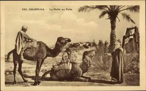 CPA Ghardaïa Algérie, La Halte au Puits, Kamele