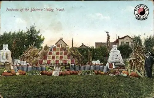 Ak Yakima Washington USA, Produkte des Yakima Valley, Kürbisse, Äpfel, Bauernhof-Szene, Mann i...