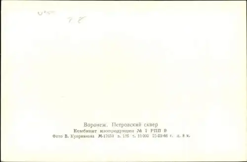 Ak Woronesch Russland, Denkmal