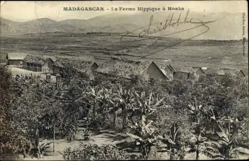 CPA Madagascar Madagascar, La Ferme Hippique à Hoaka