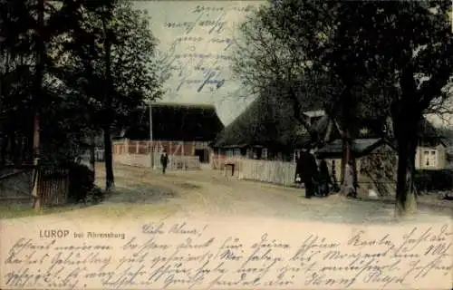 Ak Ahrensburg in Holstein, Lurop, Straßenansicht