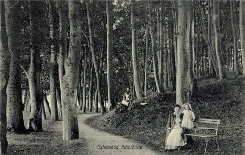 Ak Ostseebad Scharbeutz in Holstein, Waldweg, Bank, sitzende Personen, künstlerische Komposition