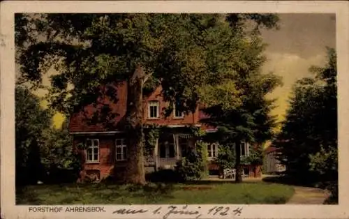 Ak Ahrensbök in Ostholstein, Forsthof