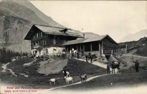 Ak Kandersteg Kanton Bern, Oeschinensee, Hotel und Pension