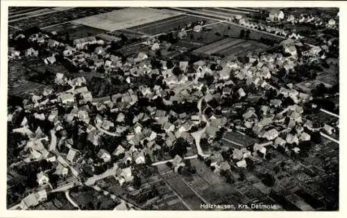 Ak Holzhausen Externsteine Horn Bad Meinberg am Teutoburger Wald, Fliegeraufnahme
