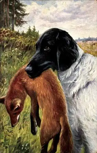 Künstler Ak Jagdhund mit erlegtem Fuchs, Hetzjagd