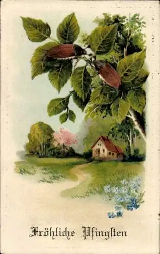 Präge Litho Glückwunsch Pfingsten, Dorfidyll, Birke, Maikäfer