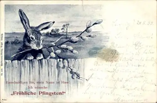 Ak Glückwunsch Ostern, Osterhase mit Weidenkätzchen, Mein Name ist Hase