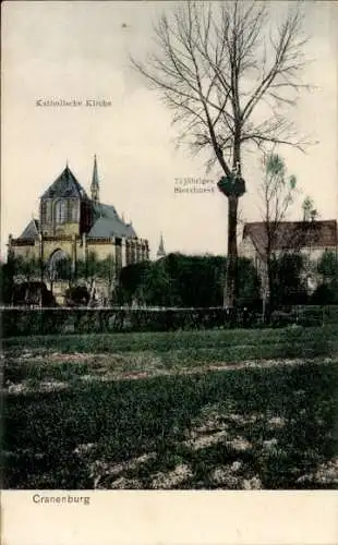 Ak Cranenburg Kranenburg am Niederrhein, Katholische Kirche, 75 Jahre Storchnest,  Architektur