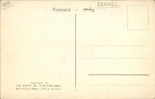 Ak Tel Aviv Jaffa Israel, Gymnasium