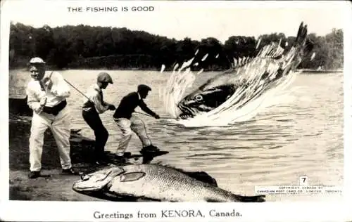 Ak Kenora Ontario Kanada, Fischer kämpfen mit störrischen Fisch