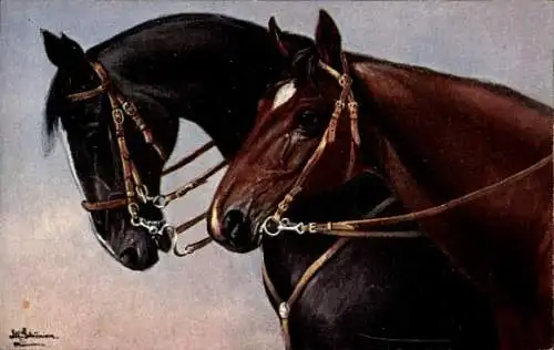 Künstler Ak Zwei Pferde, Kopfstudie, Zaumzeug