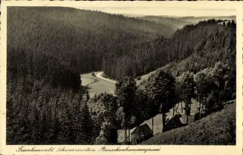Ak Schwarzenstein Schwarzenbach am Wald Oberfranken, Rauschenhammergrund