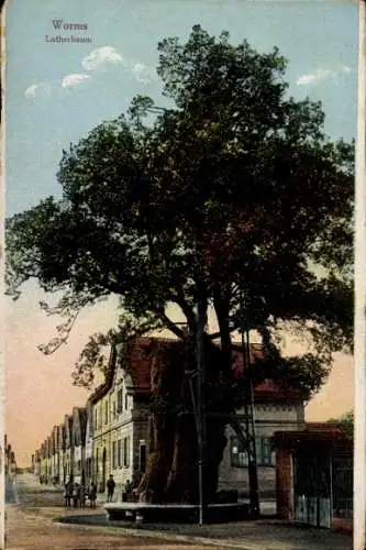 Ak Worms am Rhein, Lutherbaum, Bäume, Wohnhäuser, Straße