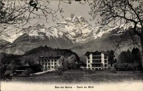 Ak Bex les Bains Kanton Waadt, Hotels, Berge